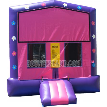 Inflatable Bouncer 1029