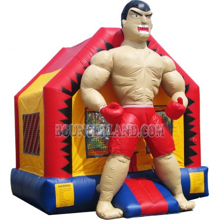 Inflatable Bouncer 1060