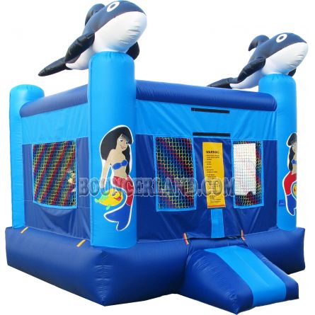 Inflatable Commercial Bounce House 1050