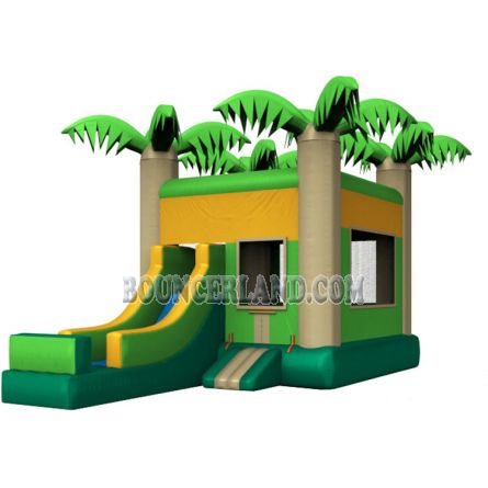 Inflatable Commercial Bouncy Combo 3060
