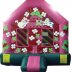 Commercial Bounce House 1024